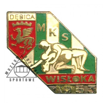 WISŁOKA DĘBICA