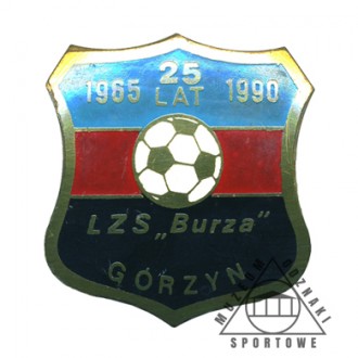 BURZA GÓRZYN