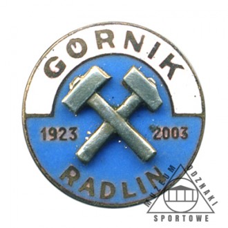 GÓRNIK RADLIN