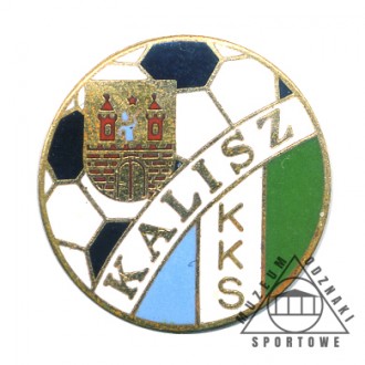 WŁÓKNIARZ KALISZ