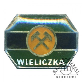 GÓRNIK WIELICZKA