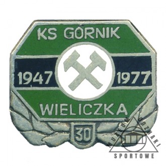 GÓRNIK WIELICZKA